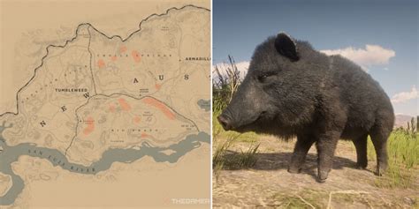 rdr2 collared peccary pig location.